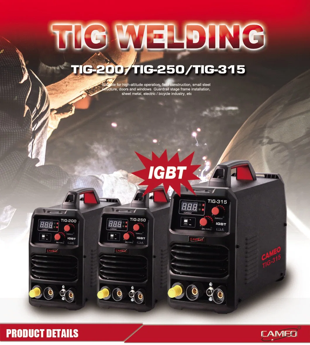 MMA Zx7 TIG Arc 2 in 1 Inverter Welding Machine TIG-250 220V 15A-180A/190A AC/DC TIG Stick Welding Machine